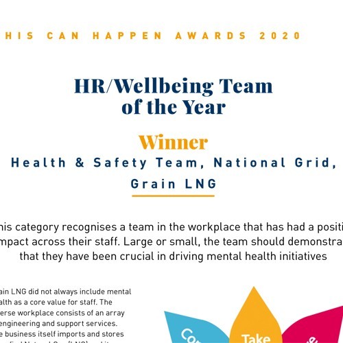 HR / Wellbeing Team of the Year photo