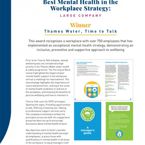 Best Mental Health in the Workplace Strategy: Large Company photo