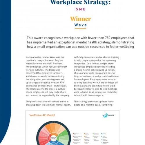 Best Mental Health in the Workplace Strategy: SME photo