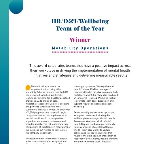 HR/D&I/Wellbeing Team of the Year photo