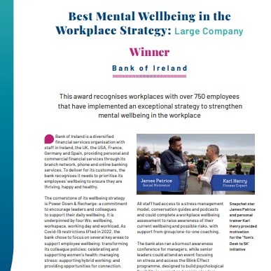 Best Mental Wellbeing in the Workplace Strategy: Large Company image