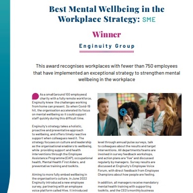 Best Mental Wellbeing in the Workplace Strategy: SME image